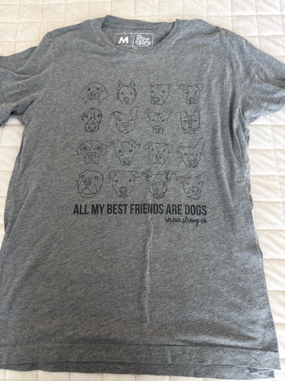 All My Best Friends Are Dogs Grey Graphic Tee